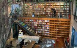 Quy định chung của pháp luật đối với hoạt động kinh doanh của doanh nghiệp trong lĩnh vực VHTTDL