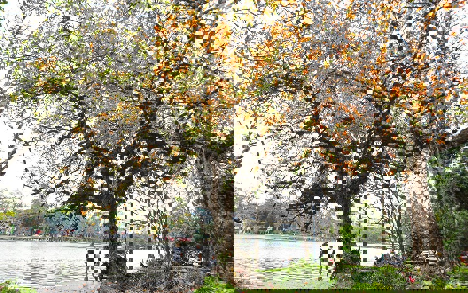 Điểm báo hoạt động ngành Văn hóa, Thể thao và Du lịch ngày 05/03/2026