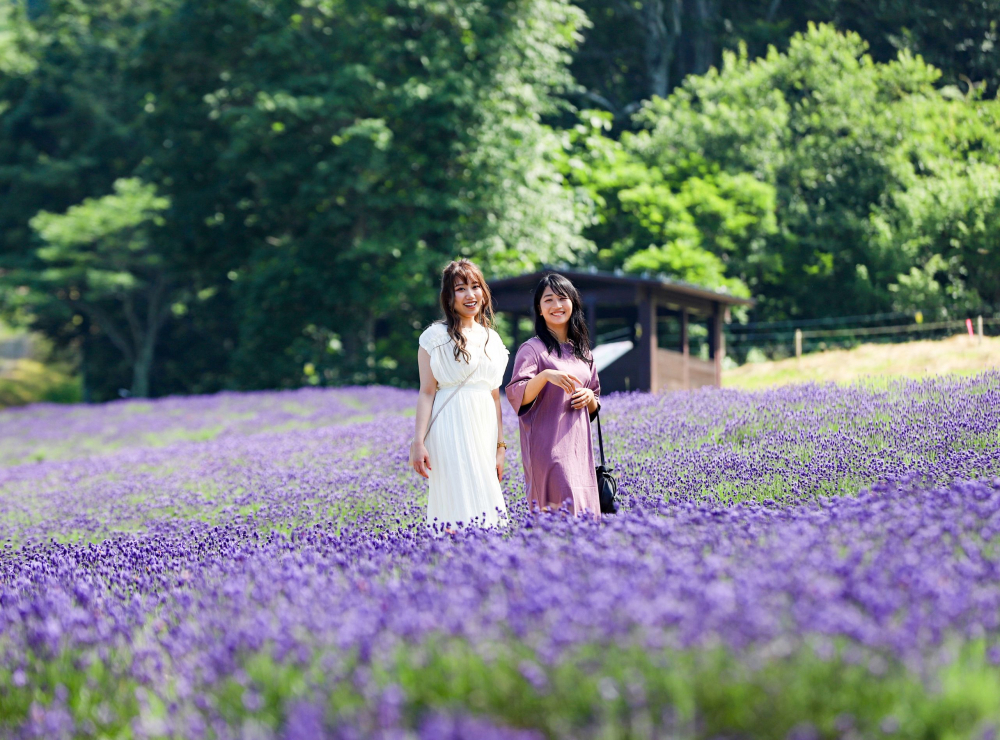 Tăng cường kết nối du lịch Việt Nam - Nhật Bản - Ảnh 6.