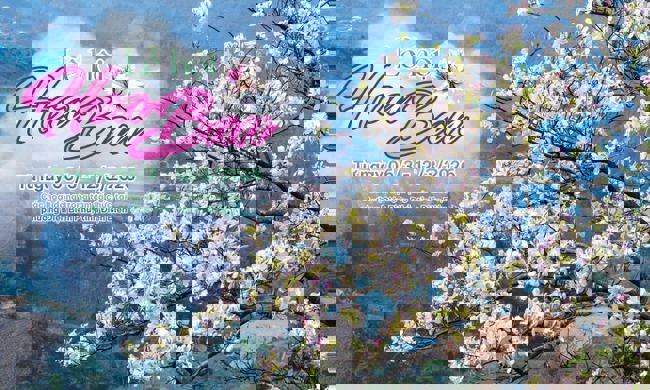 Nhiều hoạt động hấp dẫn tại Lễ hội Hoa Ban năm 2026 - Ảnh 1.