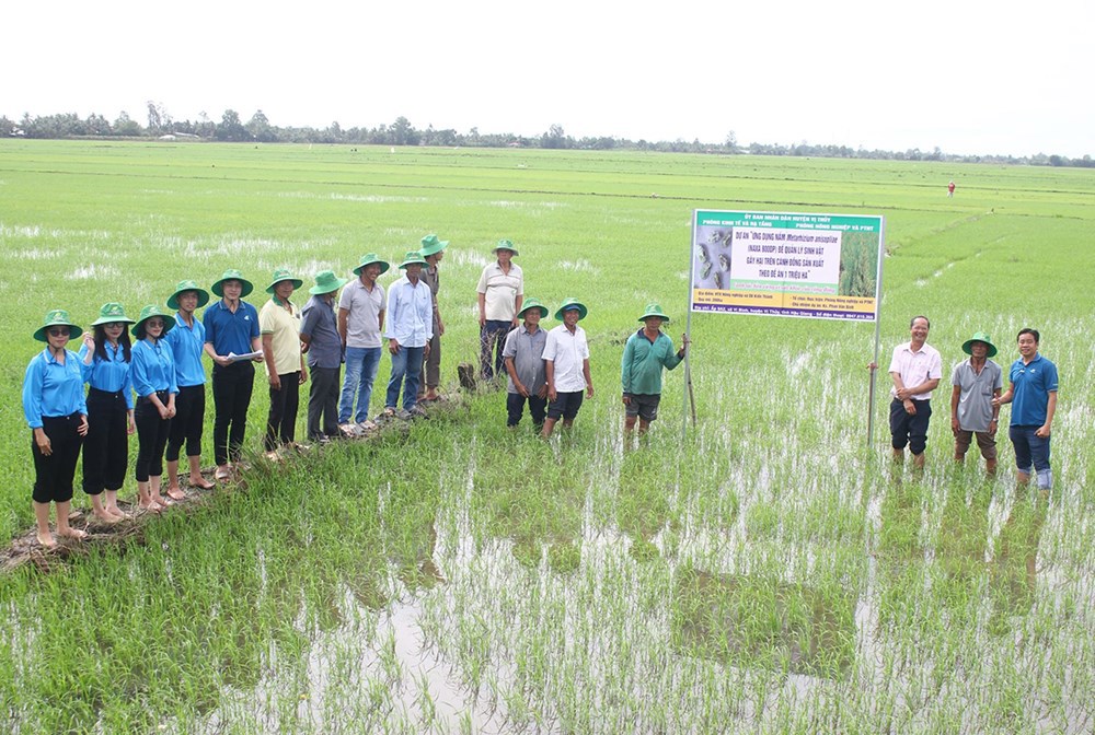 Du khách quốc tế trải nghiệm văn hóa lúa nước tại Festival Lúa gạo 2026 - ảnh 3