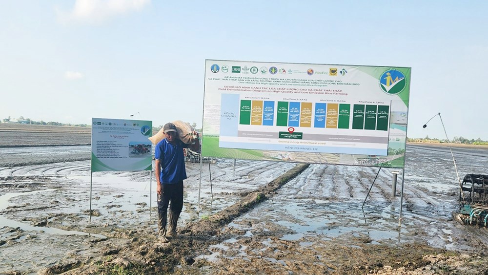 Du khách quốc tế trải nghiệm văn hóa lúa nước tại Festival Lúa gạo 2026 - ảnh 4