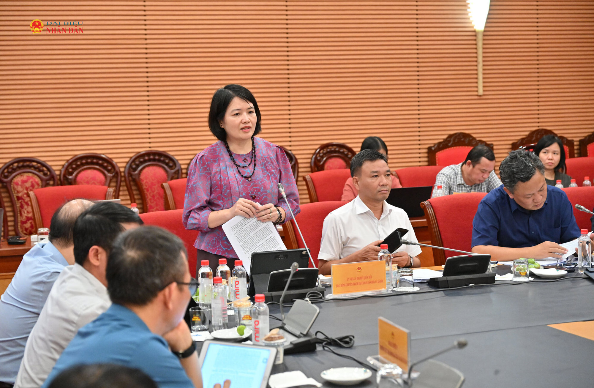 Thẩm tra sơ bộ dự án Luật sửa đổi, bổ sung 7 luật trong lĩnh vực văn hóa, thể thao, du lịch: Cần đánh giá tác động đầy đủ các chính sách mới - 6