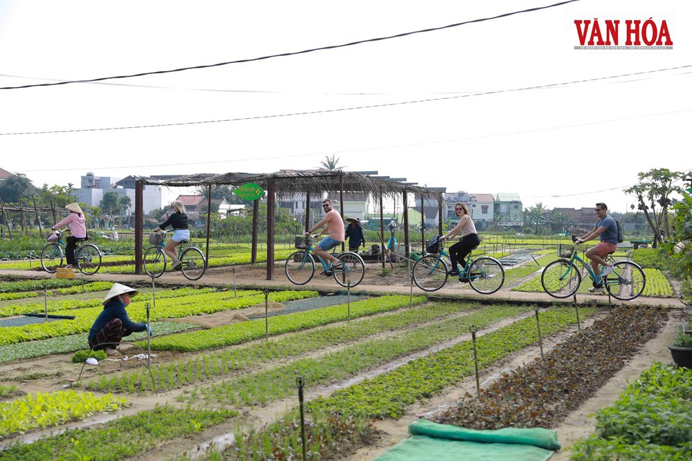 Đà Nẵng thúc đẩy chuyển đổi xanh, hướng tới phát triển du lịch bền vững - ảnh 6
