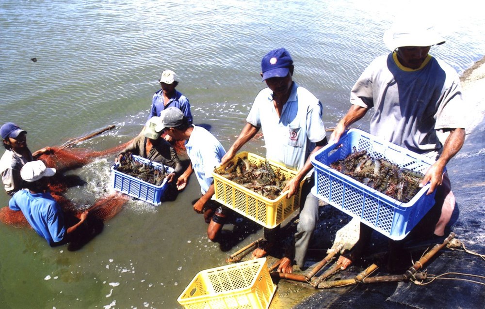 Cà Mau tổ chức Ngày Văn hóa Việt Nam với nhiều hoạt động phong phú - ảnh 4
