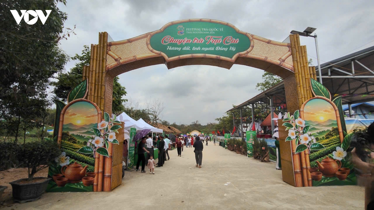 thai nguyen khan truong hoan tat cong tac chuan bi festival tra quoc te 2026 hinh anh 1
