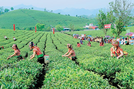 Sơn La: Đón hơn 2 triệu lượt khách du lịch trong năm 2018 - Ảnh 1.