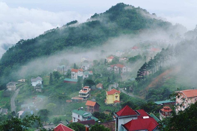 Lạc bước ở Tam Đảo - Ảnh 5.