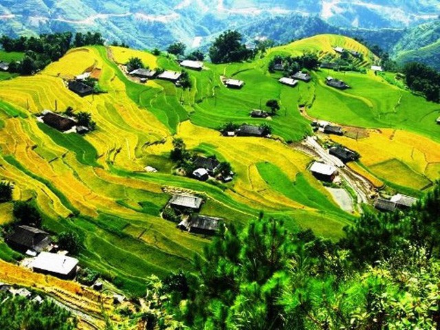 Hà Giang: Triển khai thực hiện Đề án ứng dụng CNTT trong lĩnh vực du lịch giai đoạn 2019 – 2020, định hướng đến năm 2025 - Ảnh 1.