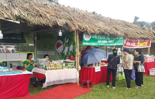 Điểm báo hoạt động ngành Văn hóa, Thể thao và Du lịch ngày 11/4/2019 - Ảnh 1.