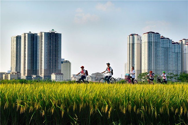 Điểm báo hoạt động ngành Văn hóa, Thể thao và Du lịch ngày 1/8/2019 - Ảnh 1.