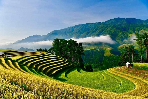 Điểm báo hoạt động ngành Văn hóa, Thể thao và Du lịch ngày 6/1/2020 - Ảnh 1.