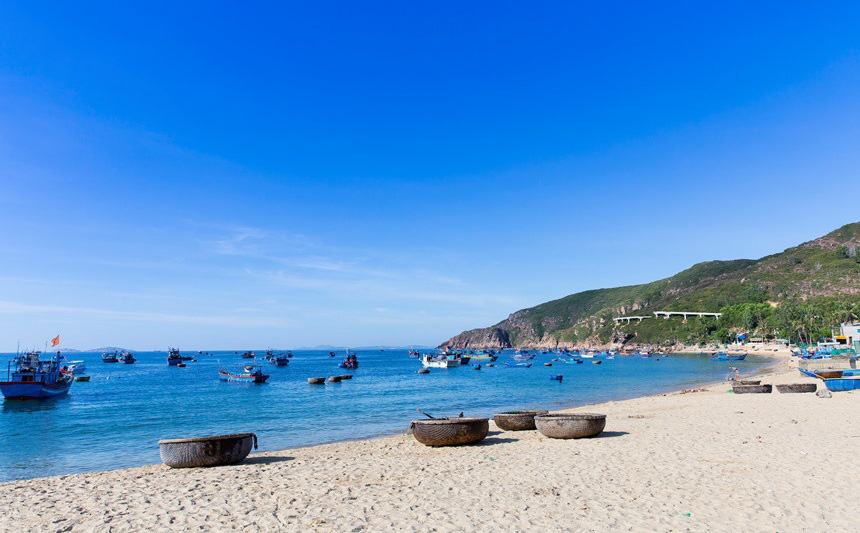 Bình Định phê duyệt Đề án Đảm bảo môi trường trong hoạt động du lịch đến năm 2025, tầm nhìn đến năm 2030 - Ảnh 1.
