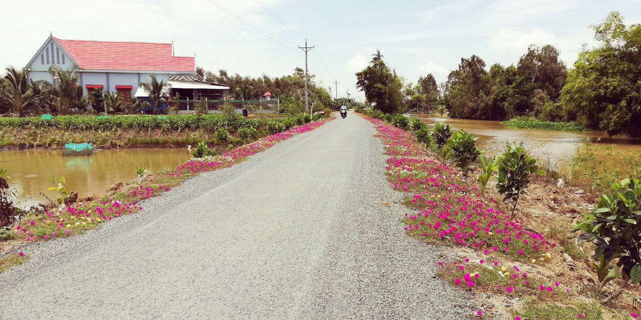 Bình Phước, Đồng Tháp, Long An báo cáo kết quả thực hiện các Quyết định của Thủ tướng Chính phủ về phong trào "Toàn dân đoàn kết xây dựng đời sống văn hóa" - Ảnh 1.