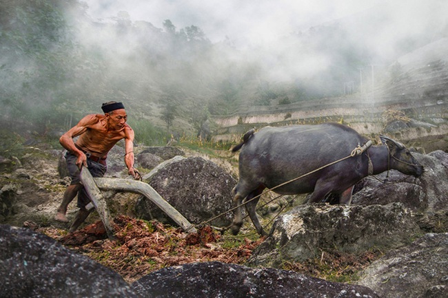Điểm báo hoạt động ngành Văn hóa, Thể thao và Du lịch ngày 2/6/2020 - Ảnh 1.