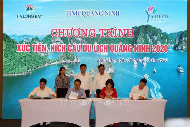 Điểm báo hoạt động ngành Văn hóa, Thể thao và Du lịch ngày 9/6/2020 - Ảnh 1.