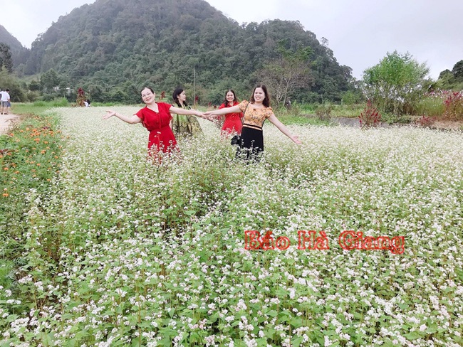 Hà Giang: Du lịch "cán đích" chỉ tiêu nghị quyết - Ảnh 2.
