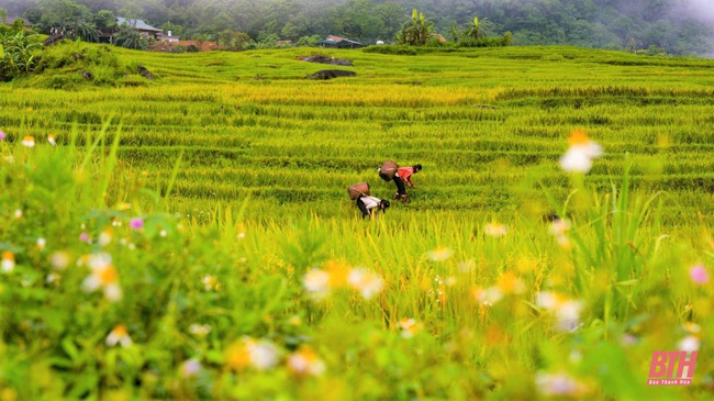 Khơi nguồn lực văn hóa - Ảnh 4.