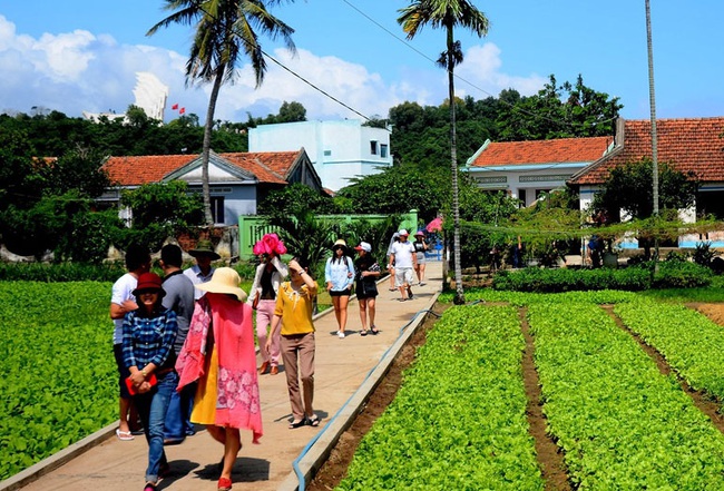 Xây dựng sản phẩm mới cho du lịch Phú Yên - Ảnh 1.