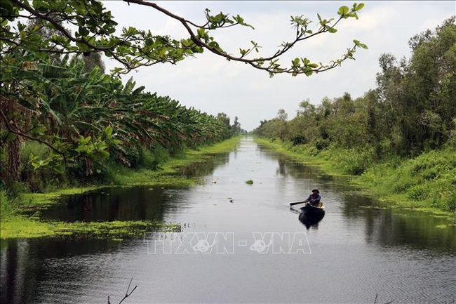 Điểm báo hoạt động ngành Văn hóa, Thể thao và Du lịch ngày 3/3/2021 - Ảnh 1.