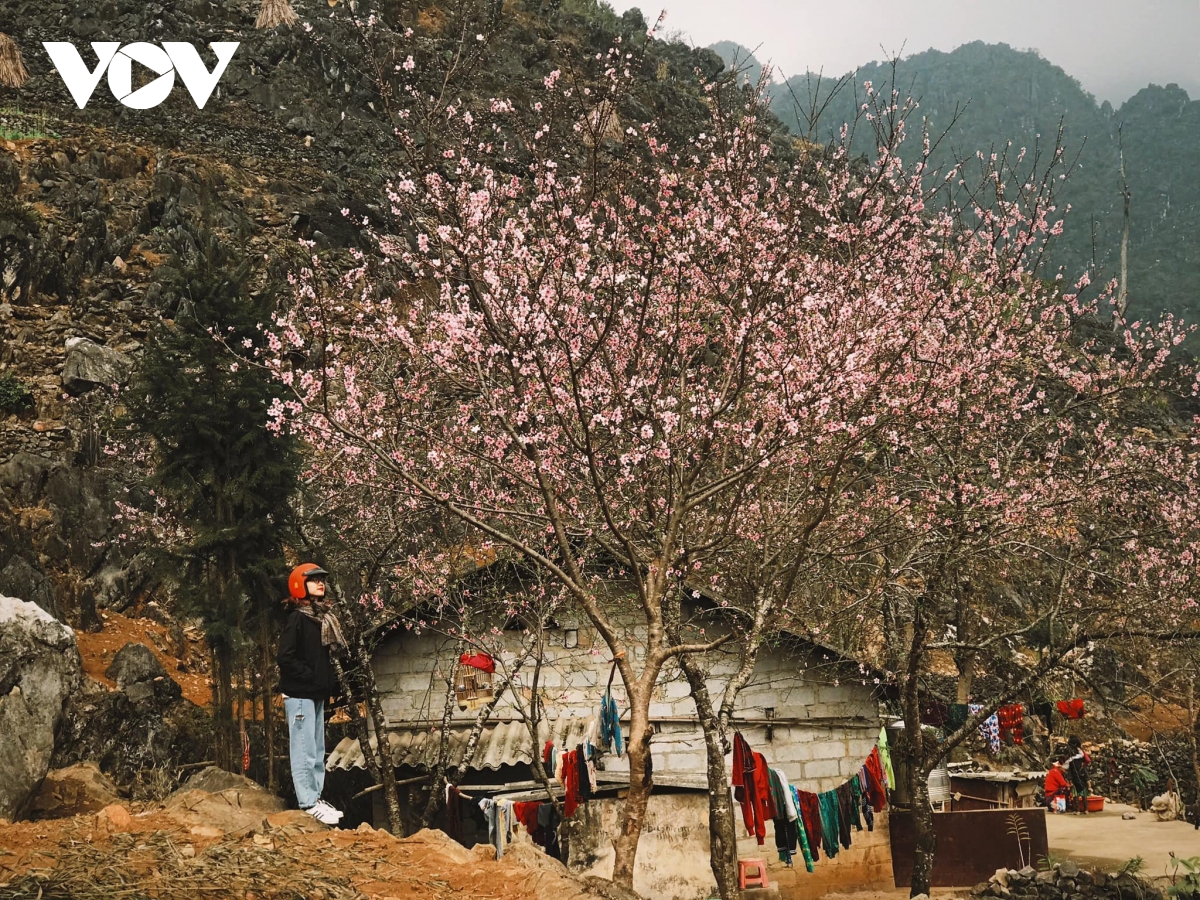 Du lịch Hà Giang vẫn hút khách bất chấp đại dịch Covid-19 - Ảnh 2.