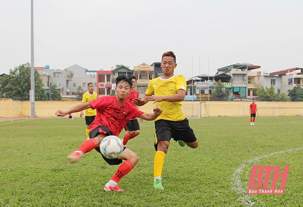 Thanh Hóa: Xây dựng, củng cố và phát triển hệ thống CLB bóng đá phong trào - Ảnh 1.