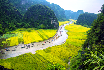 Điểm báo hoạt động ngành Văn hóa, Thể thao và Du lịch ngày 20/5/2021 - Ảnh 1.