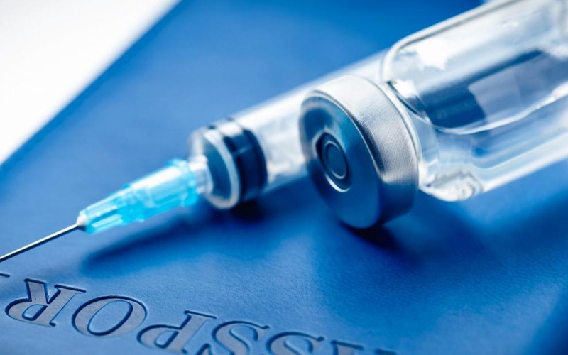 Bảy quốc gia EU thực hiện sớm "Hộ chiếu vaccine Covid-19" - Ảnh 1.