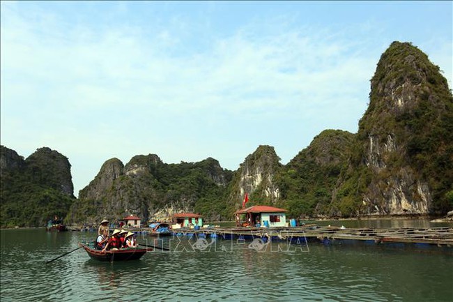 Điểm báo hoạt động ngành Văn hóa, Thể thao và Du lịch ngày 17/6/2021 - Ảnh 1.