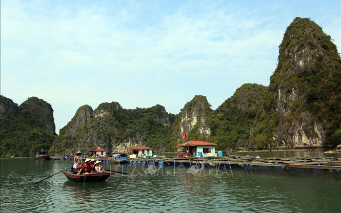 Điểm báo hoạt động ngành Văn hóa, Thể thao và Du lịch ngày 17/6/2021