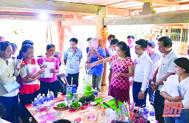 Thanh Hóa: Phát huy vai trò của cộng đồng trong cải thiện môi trường du lịch - Ảnh 1.