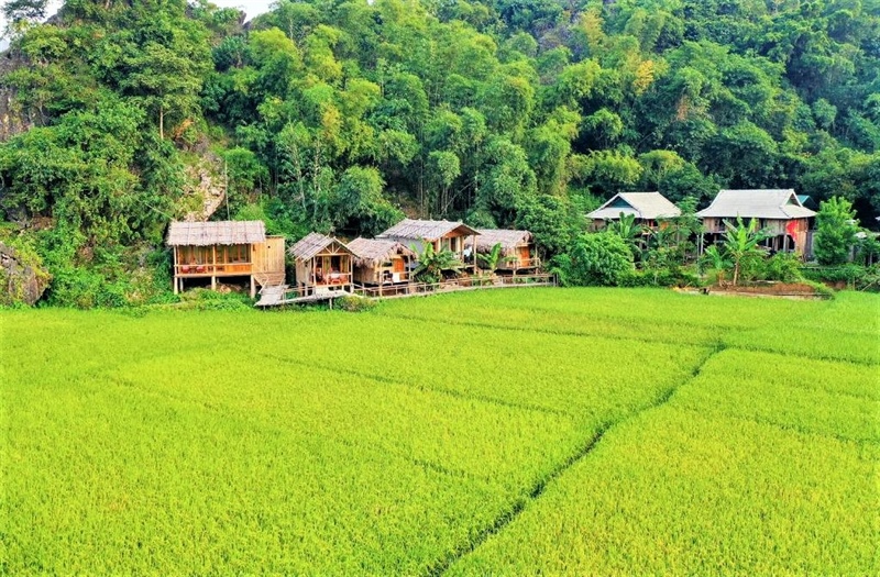 Góp ý Dự thảo Chương trình hành động phát triển du lịch giai đoạn 2021 đến 2025: Du lịch nông thôn góp phần đa dạng hóa sản phẩm và đón đầu xu thế mới - Ảnh 3.