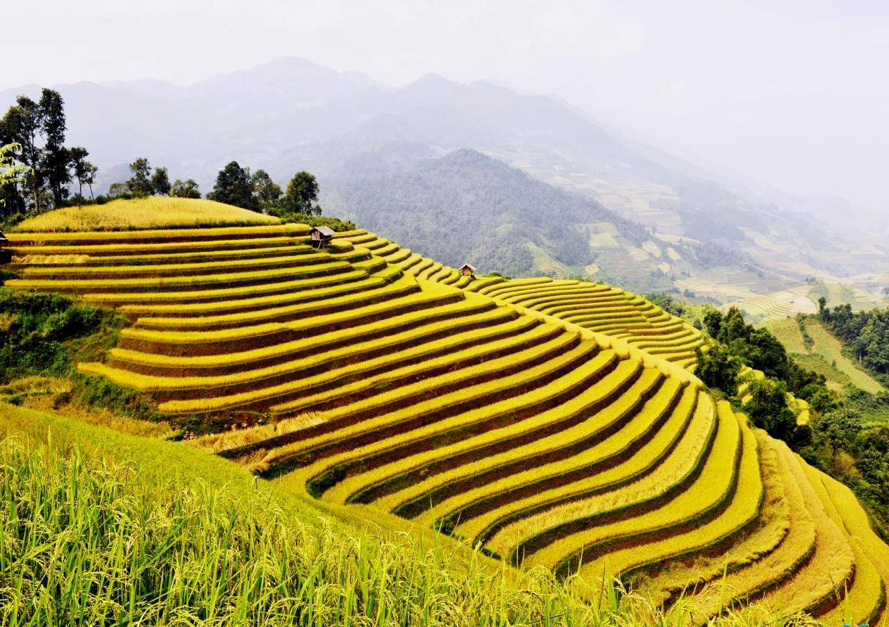 Hà Giang: Dừng tổ chức Tuần văn hóa du lịch "Qua những miền di sản ruộng bậc thang Hoàng Su Phì" - Ảnh 1.