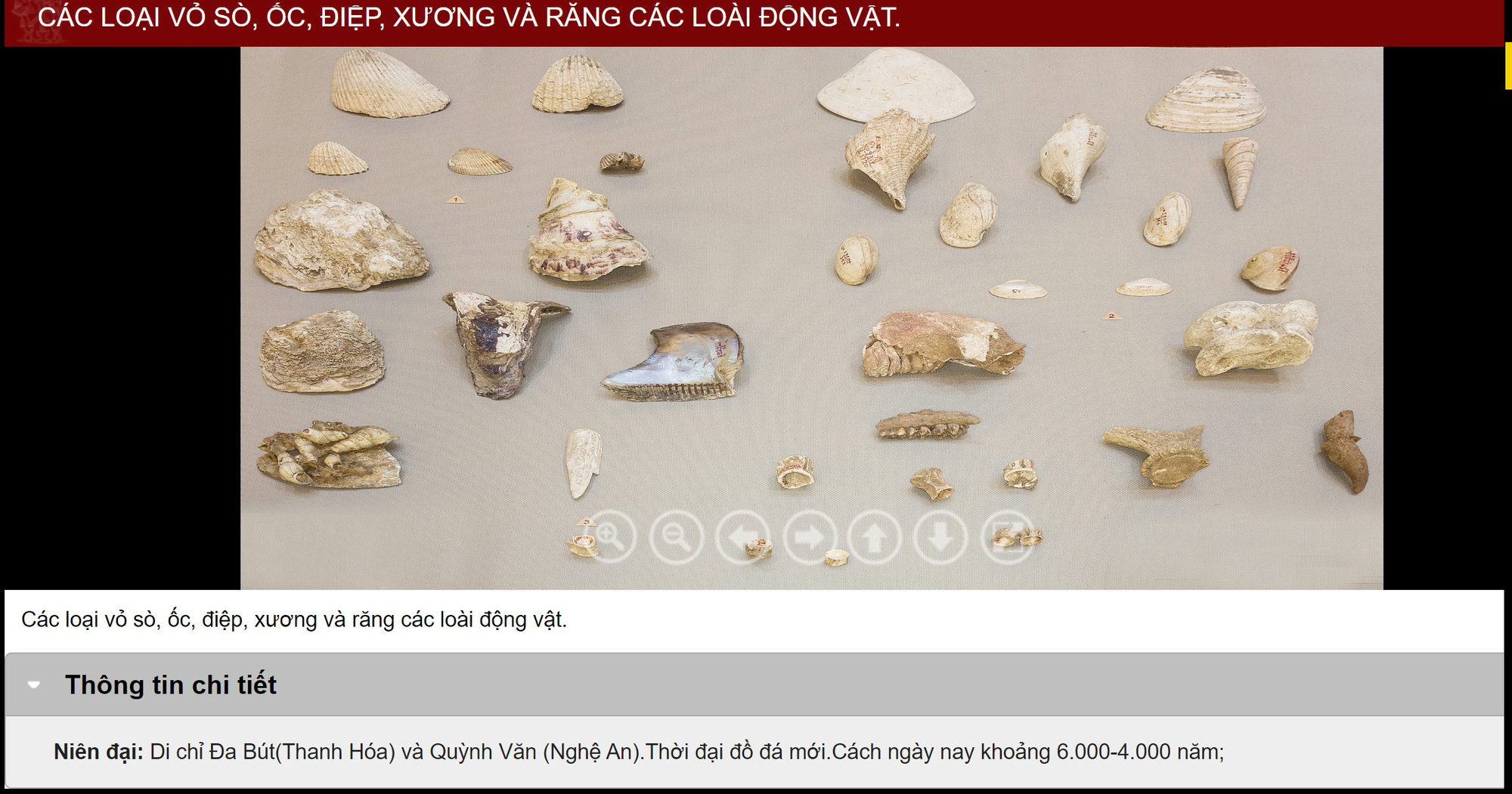 Bảo tàng Lịch sử Quốc gia nhộn nhịp khách "online" mùa dịch - Ảnh 2.