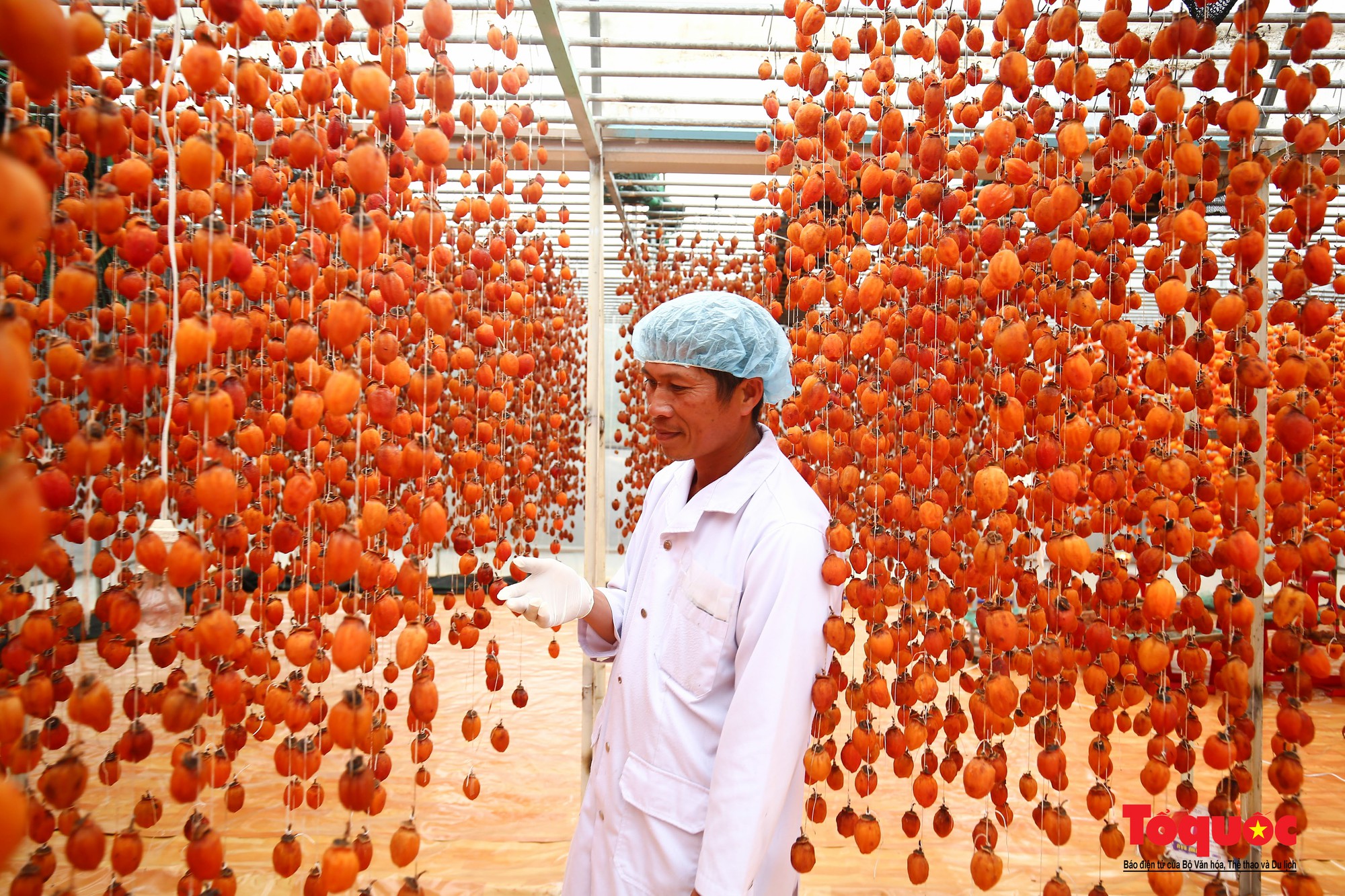 Lâm Đồng đẩy mạnh chuyển đổi số trong phát triển du lịch canh nông - Ảnh 2.