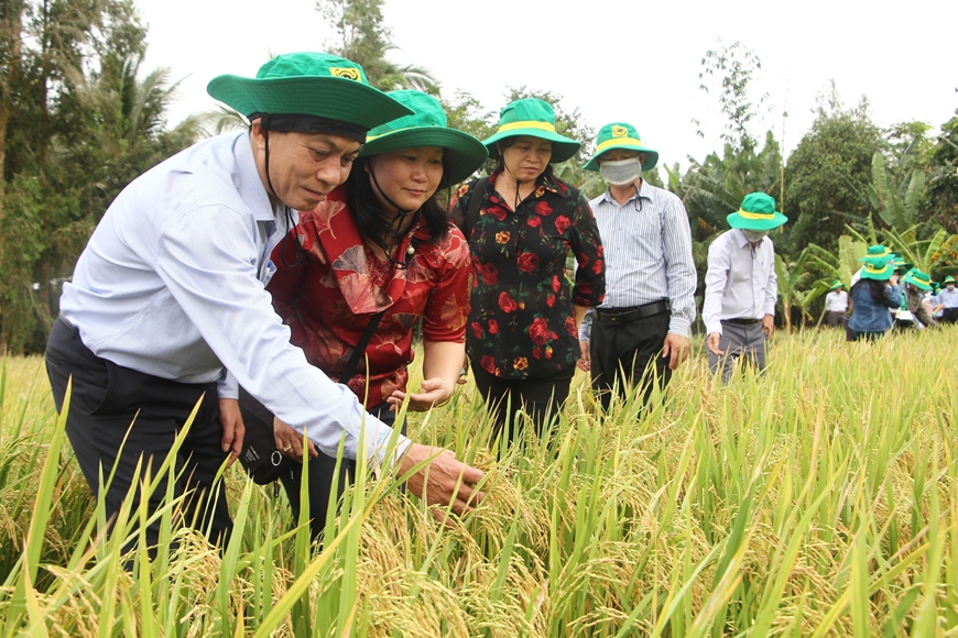 “Bảo bối” giúp Đảng trong sạch, đội ngũ vững mạnh - Ảnh 1.