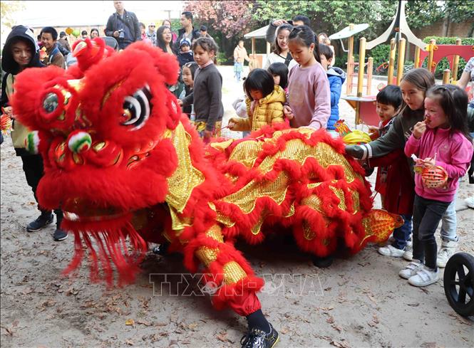 Ấm áp Ngày hội gia đình Việt Nam tại Bỉ - Ảnh 2.