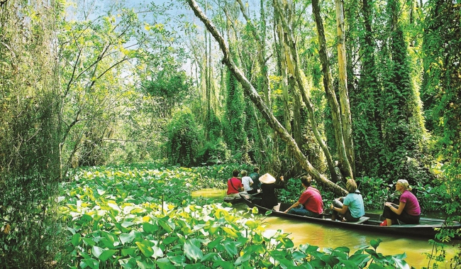 Du lịch Đồng Tháp khắc phục hậu quả của đại dịch Covid – 19 - Ảnh 1.