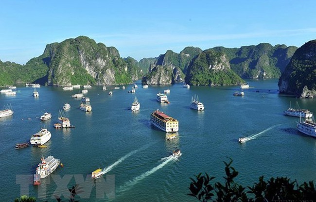 Điểm báo hoạt động ngành Văn hóa, Thể thao và Du lịch ngày 26/10/2021 - Ảnh 1.
