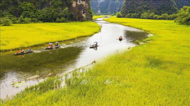 Điểm báo hoạt động ngành Văn hóa, Thể thao và Du lịch ngày 4/11/2021 - Ảnh 1.