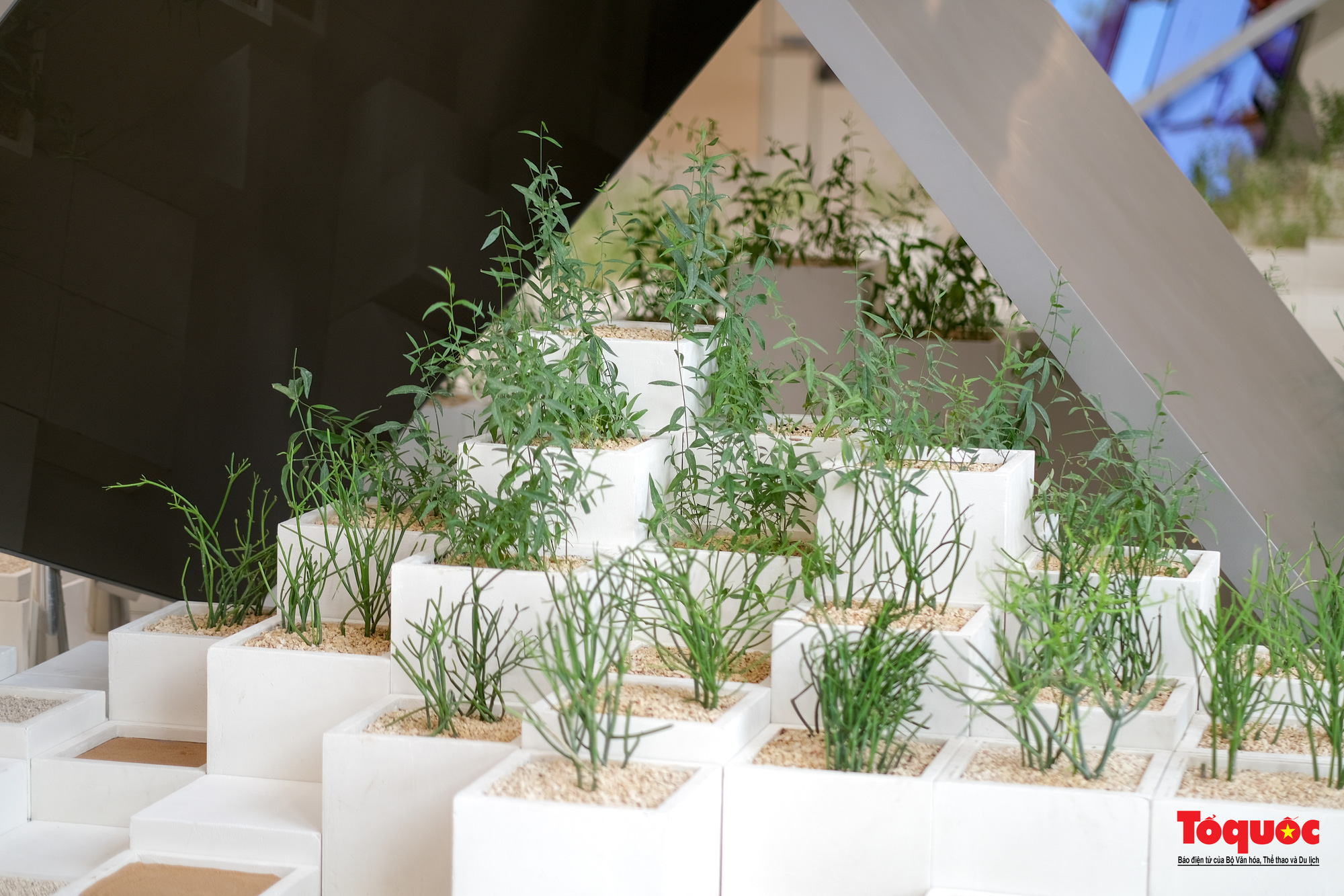 Việt Nam đẩy mạnh hợp tác với các nước đối tác chiến lược trong khuôn khổ EXPO Dubai 2020 - Ảnh 5.