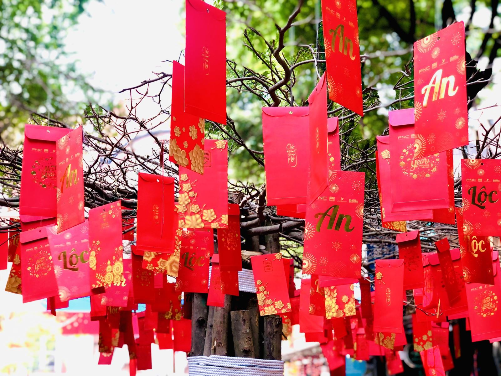 Đường sách TP Hồ Chí Minh rực rỡ sắc màu đón Tết - Ảnh 5.