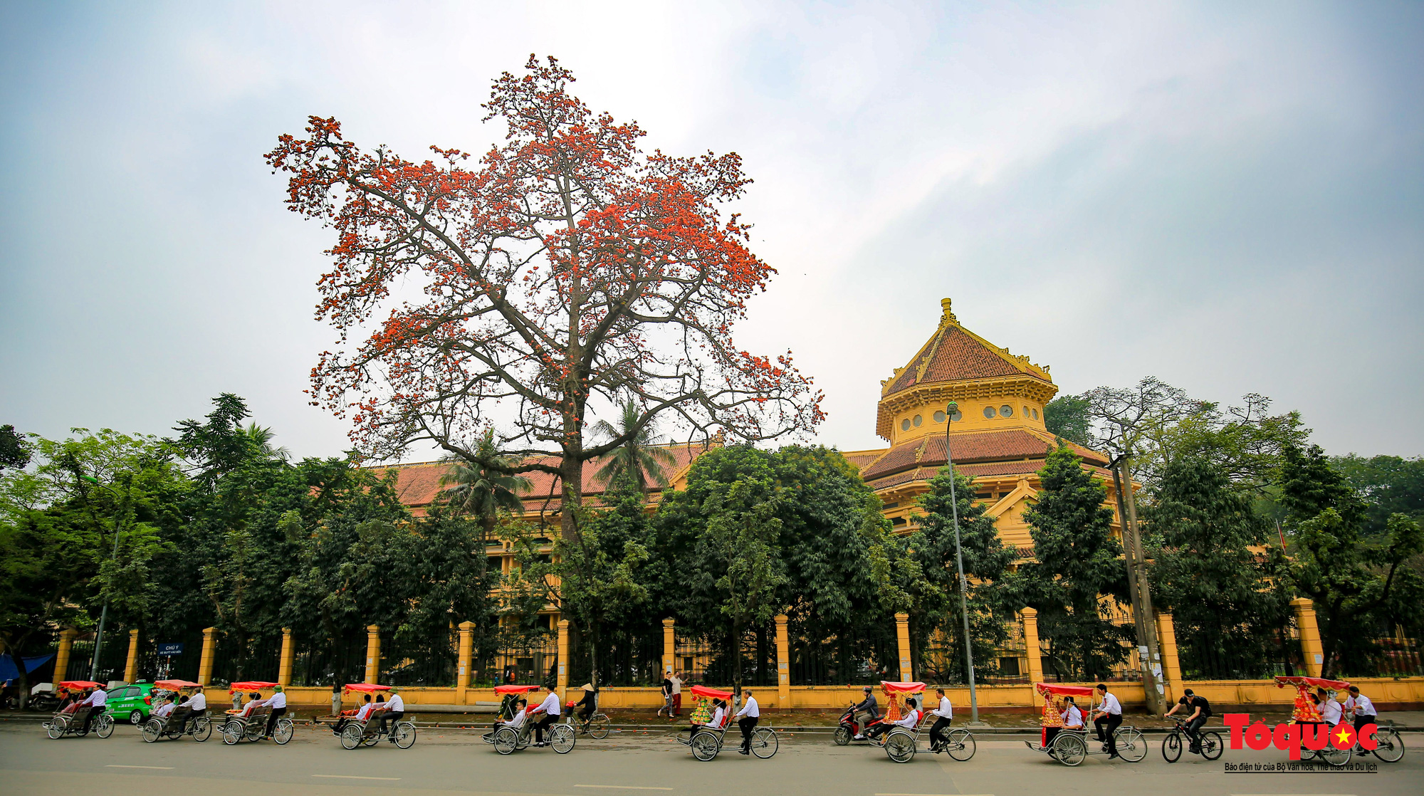 Bảo tàng Lịch sử quốc gia rực rỡ trong sắc hoa gạo - Ảnh 1.