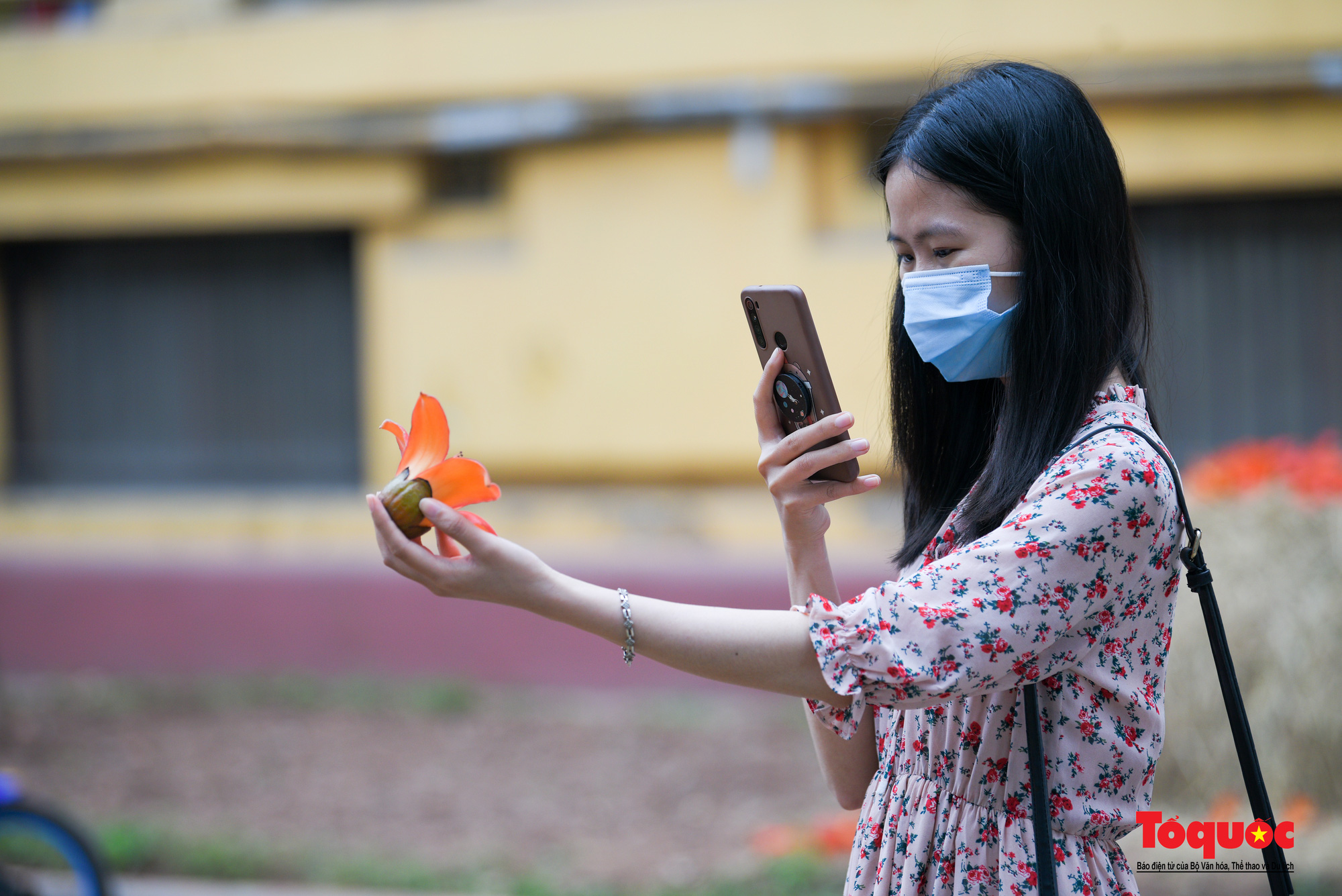 Bảo tàng Lịch sử quốc gia rực rỡ trong sắc hoa gạo - Ảnh 12.