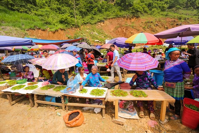 Xây dựng mô hình, phương pháp bảo tồn Chợ phiên đặc trưng của đồng bào các dân tộc thiểu số - Ảnh 1.
