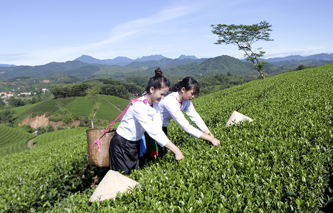 Tận dụng lợi thế phát triển du lịch nông nghiệp Đất Tổ - Ảnh 1.