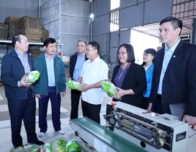 Tận dụng lợi thế phát triển du lịch nông nghiệp Đất Tổ - Ảnh 2.
