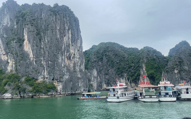 Điểm báo hoạt động ngành Văn hóa, Thể thao và Du lịch ngày 7/6/2022 - Ảnh 1.