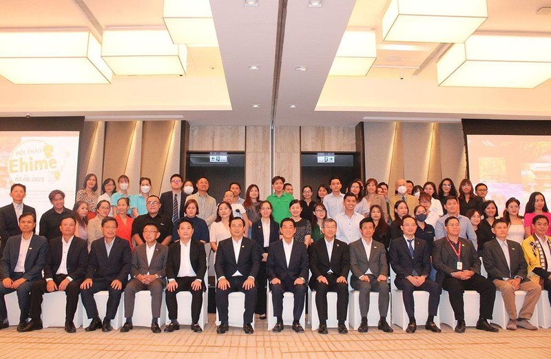 Nhiều cơ hội thúc đẩy du lịch Việt Nam-Nhật Bản sau đại dịch - Ảnh 1.