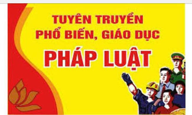 Nâng cao hiệu quả công tác phổ biến, giáo dục pháp luật hướng mạnh về cơ sở - Ảnh 1.